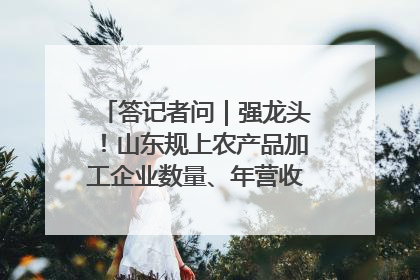 答记者问｜强龙头！山东规上农产品加工企业数量、年营收均居全国首位