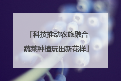 科技推动农旅融合 蔬菜种植玩出新花样