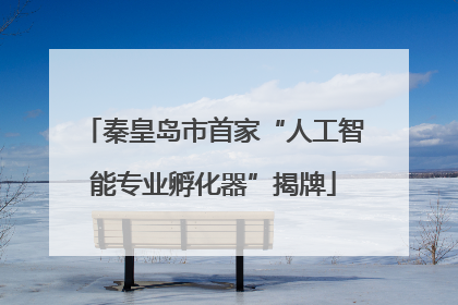 秦皇岛市首家“人工智能专业孵化器”揭牌