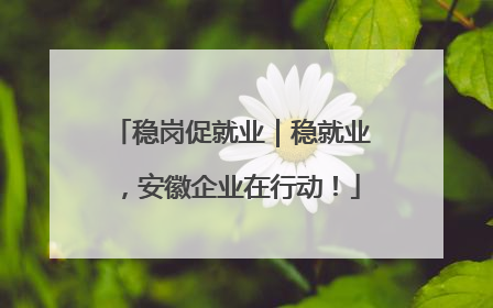 稳岗促就业｜稳就业，安徽企业在行动！