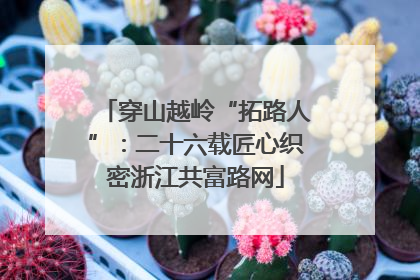 穿山越岭“拓路人”：二十六载匠心织密浙江共富路网