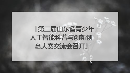 第三届山东省青少年人工智能科普与创新创意大赛交流会召开