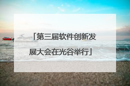 第三届软件创新发展大会在光谷举行