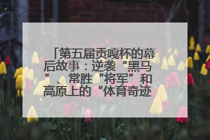 第五届贡嘎杯的幕后故事：逆袭“黑马”、常胜“将军”和高原上的“体育奇迹”丨微纪录