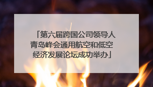 第六届跨国公司领导人青岛峰会通用航空和低空经济发展论坛成功举办