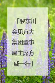罗东川会见方大集团董事局主席方威一行
