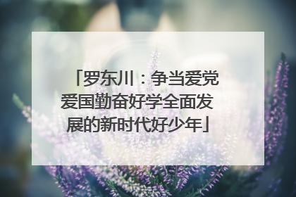 罗东川：争当爱党爱国勤奋好学全面发展的新时代好少年
