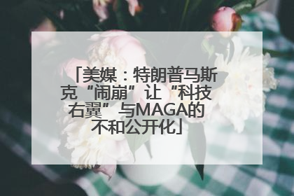 美媒：特朗普马斯克“闹崩”让“科技右翼”与MAGA的不和公开化