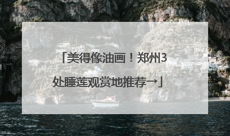 美得像油画！郑州3处睡莲观赏地推荐→