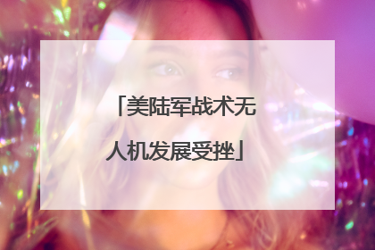 美陆军战术无人机发展受挫