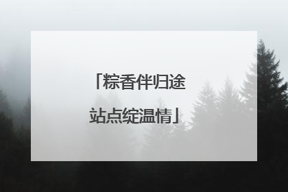粽香伴归途 站点绽温情