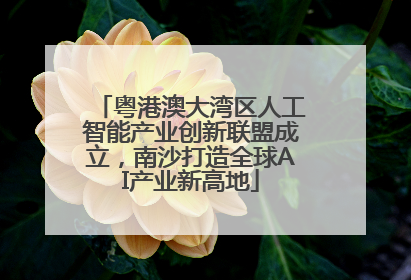 粤港澳大湾区人工智能产业创新联盟成立，南沙打造全球AI产业新高地