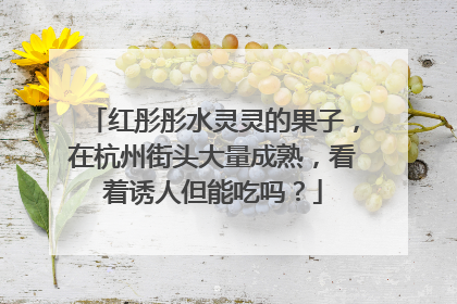 红彤彤水灵灵的果子，在杭州街头大量成熟，看着诱人但能吃吗？