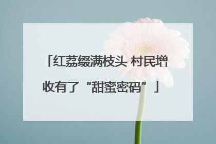 红荔缀满枝头 村民增收有了“甜蜜密码”