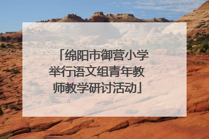 绵阳市御营小学举行语文组青年教师教学研讨活动