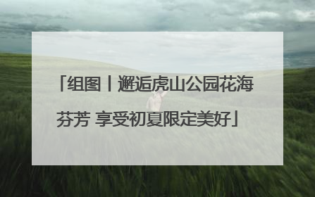 组图丨邂逅虎山公园花海芬芳 享受初夏限定美好