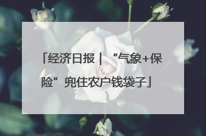 经济日报｜“气象+保险”兜住农户钱袋子
