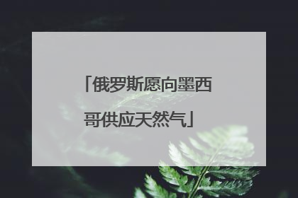 俄罗斯愿向墨西哥供应天然气