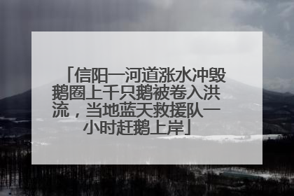 信阳一河道涨水冲毁鹅圈上千只鹅被卷入洪流，当地蓝天救援队一小时赶鹅上岸