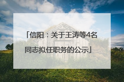 信阳：关于王涛等4名同志拟任职务的公示