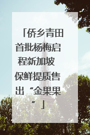 侨乡青田首批杨梅启程新加坡 保鲜提质售出“金果果”