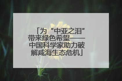 为“中亚之泪”带来绿色希望——中国科学家助力破解咸海生态危机