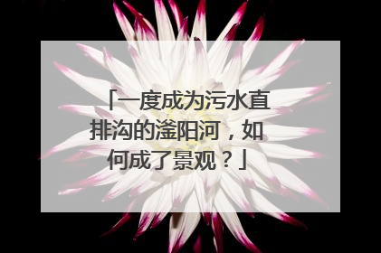 一度成为污水直排沟的滏阳河，如何成了景观？