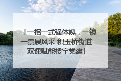 一招一式强体魄，一镜一景展风采 积玉桥街道双课赋能楼宇党建