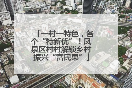 一村一特色，各个“特新优”！凤泉区村村解锁乡村振兴“富民果”