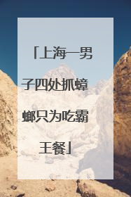 上海一男子四处抓蟑螂只为吃霸王餐