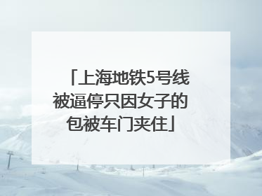 上海地铁5号线被逼停只因女子的包被车门夹住