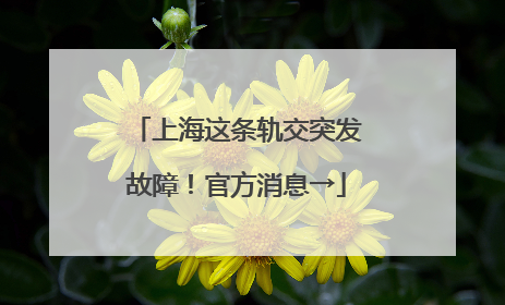 上海这条轨交突发故障！官方消息→