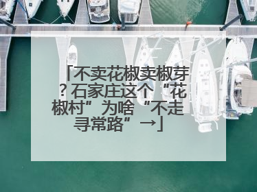 不卖花椒卖椒芽？石家庄这个“花椒村”为啥“不走寻常路”→