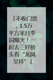 不收门票，1.5万平方米月季园爆火！一起去三好桥头看“龙凤呈祥”