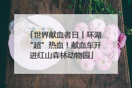世界献血者日丨环湖“超”热血！献血车开进红山森林动物园