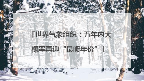 世界气象组织：五年内大概率再迎“最暖年份”