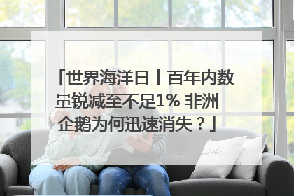 世界海洋日丨百年内数量锐减至不足1% 非洲企鹅为何迅速消失？