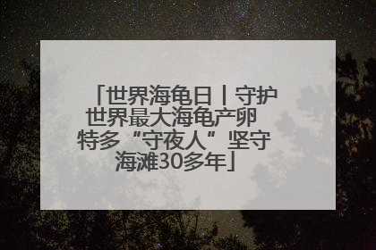 世界海龟日丨守护世界最大海龟产卵 特多“守夜人”坚守海滩30多年