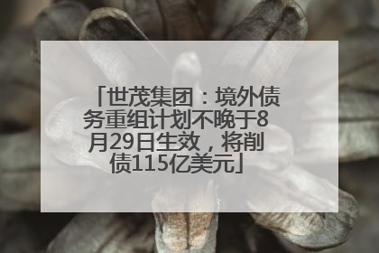 世茂集团：境外债务重组计划不晚于8月29日生效，将削债115亿美元