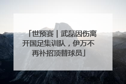 世预赛｜武磊因伤离开国足集训队，伊万不再补招顶替球员