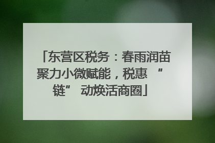 东营区税务：春雨润苗聚力小微赋能，税惠 “链” 动焕活商圈