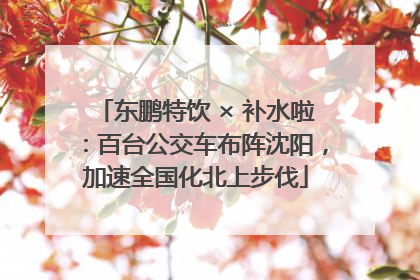 东鹏特饮 × 补水啦：百台公交车布阵沈阳，加速全国化北上步伐