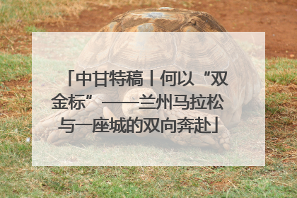 中甘特稿丨何以“双金标”——兰州马拉松与一座城的双向奔赴