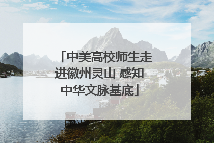 中美高校师生走进徽州灵山 感知中华文脉基底