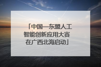 中国—东盟人工智能创新应用大赛在广西北海启动