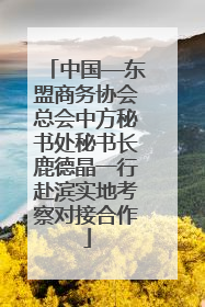 中国—东盟商务协会总会中方秘书处秘书长鹿德晶一行赴滨实地考察对接合作