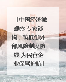 中国经济微观察·专家谈构：筑抵御外部风险制度防线 为民营企业保驾护航