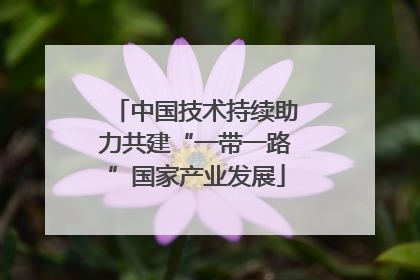 中国技术持续助力共建“一带一路”国家产业发展