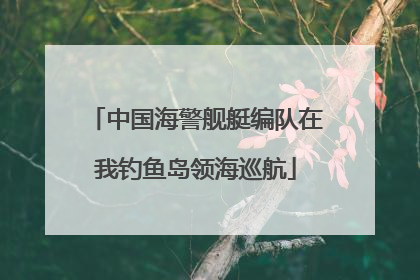 中国海警舰艇编队在我钓鱼岛领海巡航