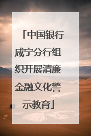 中国银行咸宁分行组织开展清廉金融文化警示教育